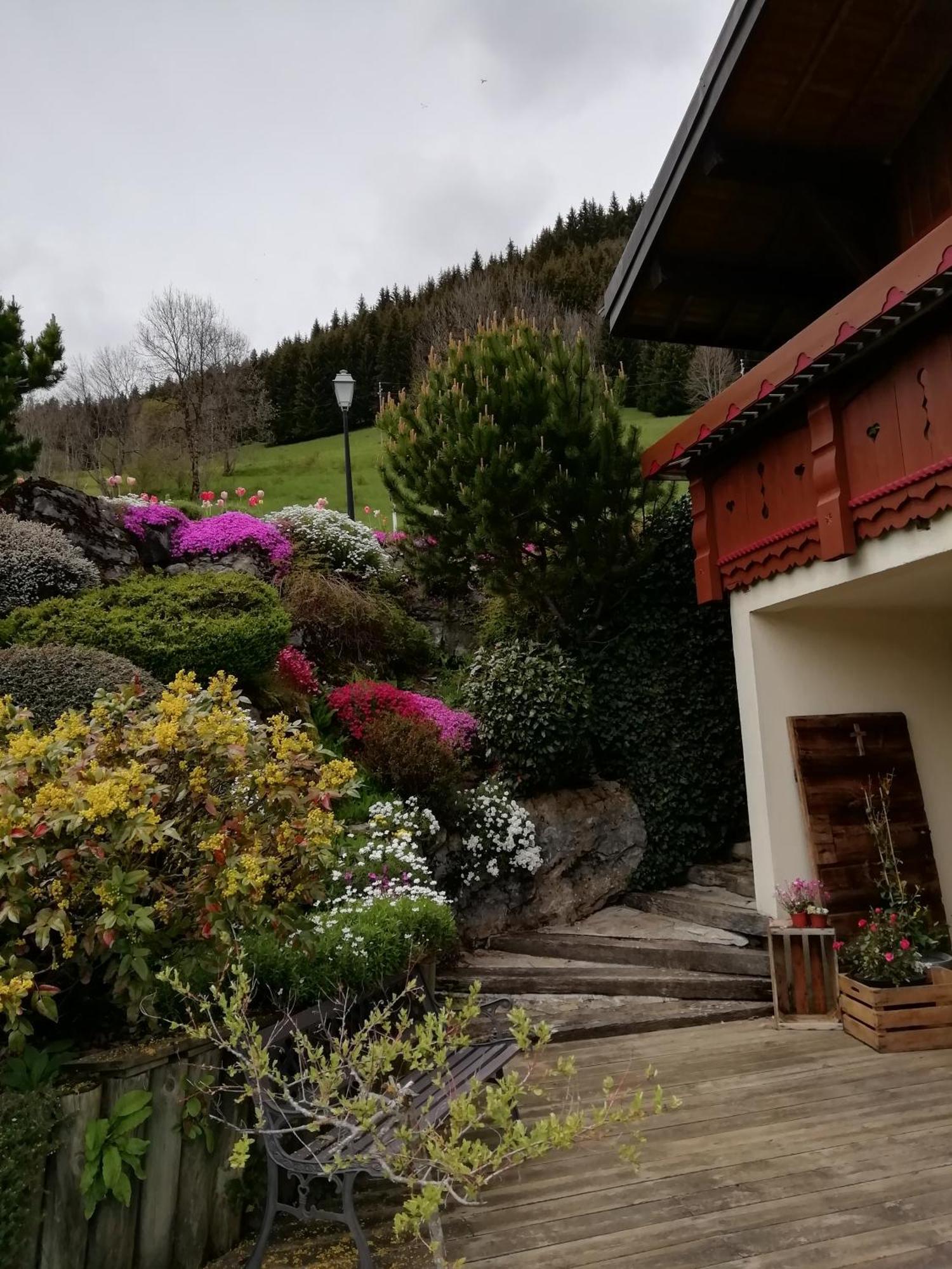 La Cote d'Arbroz Chambres En Chalet Petit Dejeuner Inclus מראה חיצוני תמונה