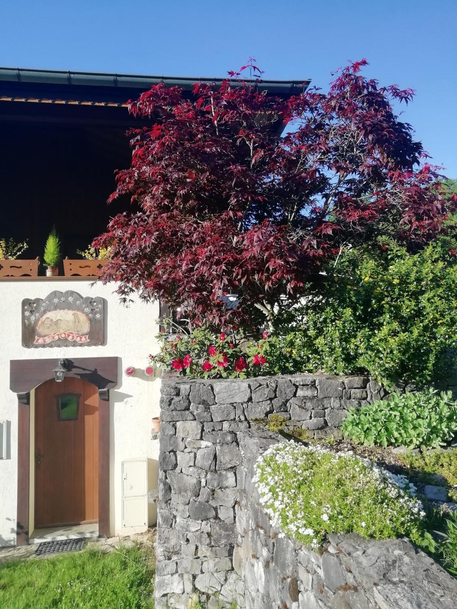 La Cote d'Arbroz Chambres En Chalet Petit Dejeuner Inclus מראה חיצוני תמונה